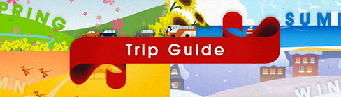 Trip Guide