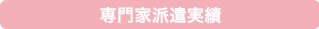 専門家派遣実績