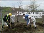 Trees were planted on the construction site of Shin-Tomei Expressway in Iwamoto-cho, Fuji-shi, Shizuoka Prefecture by the members of the Neighborhood Association of Iwamoto-Setogawara-ku, Fuji-shi.