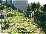 石川县金泽市片田町的割草志愿者在北陆自动车道现场进行割草活动，以维护树木和美化路边。