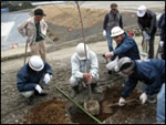 Trees were planted on the construction site of Shin-Tomei Expressway in Fujieda City, Shizuoka Prefecture by the members of the Fujinashi City Residents&#39; Association Yashi Branch.