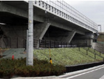Trees were planted on the construction site of Shin-Tomei Expressway in Fuji City, Shizuoka Prefecture by the members of the Kobe 1-Chome Neighborhood Association of Fuji City.