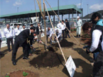 Trees were planted by members of the Shizuoka Lions Club on the Shin-Tomei Expressway ShinShizuoka IC site in Aoi-ku, Shizuoka City, Shizuoka Prefecture.
