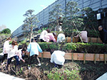 静冈县富士市社会福利法人福住会中里保育园的人们进行了植树活动。