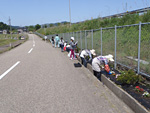 与富山县大部边市的御堂樱平人一起NEXCO中日本员工参加并种了花。