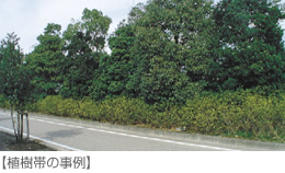 [Example of a tree planting zone]