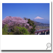 “日本符号富士和樱花”