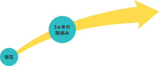 5-year Initiatives