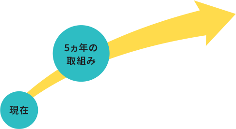 5-year Initiatives