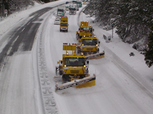 Ladder snow removal