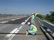Inspection of steps at road joints