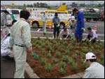 岐阜県郡上市内の東海北陸自動車道ひるがの高原SA(下り線)内で、郡上市社会福祉協議会の皆様とNEXCO中日本との協働により、ラベンダーの植樹活動がおこなわれました。