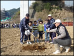 Trees were planted by the members of the Uchimaki Neighborhood Association in Aoi-ku, Shizuoka-shi on the construction site of Shin-Tomei Expressway in Shizuoka City, Shizuoka Prefecture.