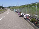 Planting of flowers was carried out by the participants of Midori no Satohira Sakura in Oyabe City, Toyama Prefecture and NEXCO CENTRAL employees.