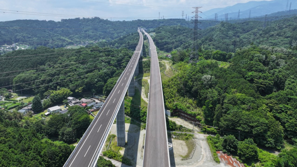中島高架橋