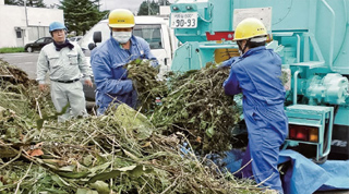 积累修剪的树枝和割掉公路上产生的草