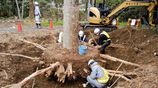 移植準備の様子（東名）