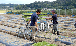 Planting photo