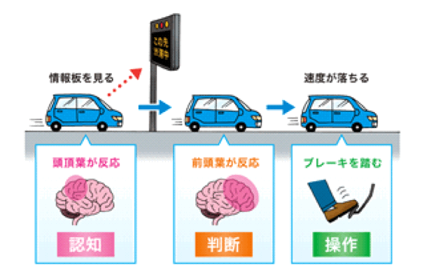 「認知」、「判断」、「操作」の流れ