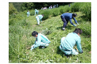 茅場の下草刈り活動の様子