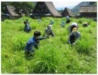 2021年6月 茅場下草刈り