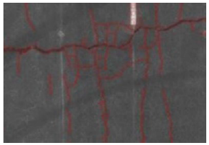 写真- 4 ひび割れの自動解析