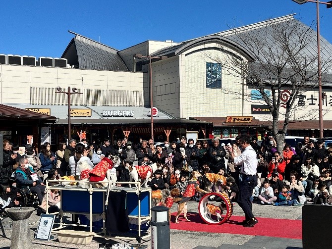 わんわんサーカスの公演