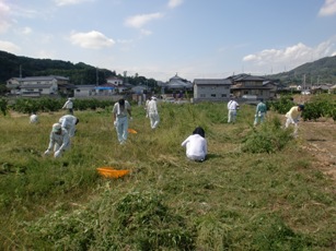 写真7