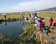 どんなお魚がいるか楽しみです
