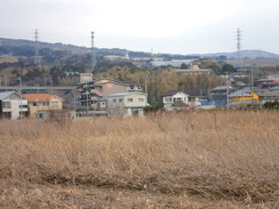 葦原の向こうに見える新東名NEOPASA駿河湾沼津（上）