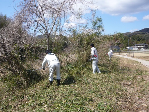 都田川周辺の草刈り
