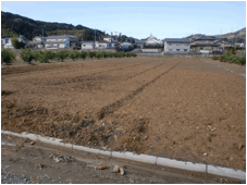 9月に草刈りをした休耕地