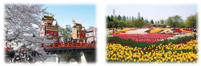 春の高山祭（山王祭）となみチューリップフェア