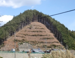 きれいな山