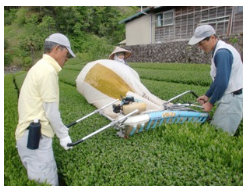 専用の機械で刈り取り袋に集めます