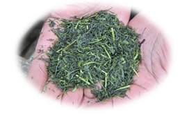 お茶の葉