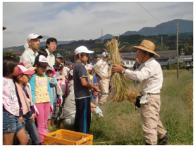 稲刈作業のやり方を熱心に聞く参加者