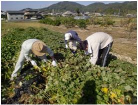 大人も負けずにがんばりました