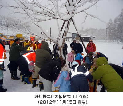 荘川桜二世の植樹式（上り線）