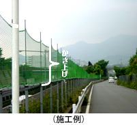 施行例