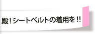 殿！シートベルトの着用を！！