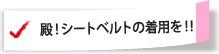 殿！シートベルトの着用を！！