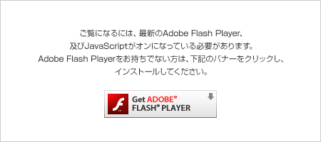 You need to upgrade your Adobe Flash Player!