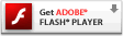 獲取Adobe Flash Player