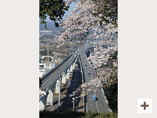 "Evolving Shin-Tomei Expressway"