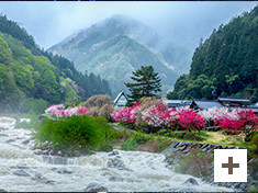 “大雨後的花桃村”