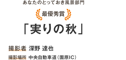 最佳獎項“水果秋天”攝影師龍野達也地點：中央自動車道So原IC黑柿子樹（長野縣內娃村）