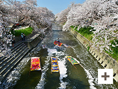 「春の五条川」