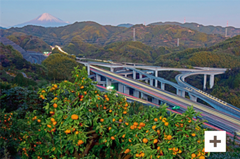 「みかん山の軌跡」