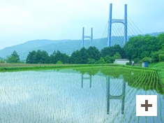 「手塩をかけて」